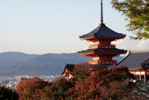 EDO-japan-7431