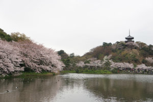 EDO-tattoo 2185-garden