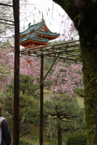 EDO-tattoo 2526-shrine