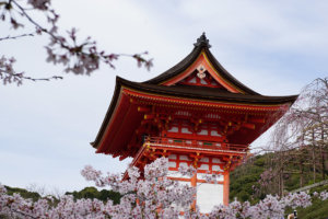 EDO-tattoo 3237-kiyomizu-dera