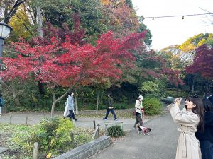 EDO-Tattoo in Japan on Tour 2024