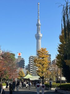 EDO-Tattoo in Japan on Tour 2024